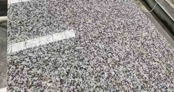 盘锦 芙蓉白光面