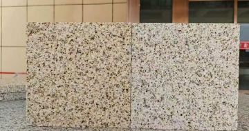 盘锦 黄金麻荔枝面，中黄与浅黄