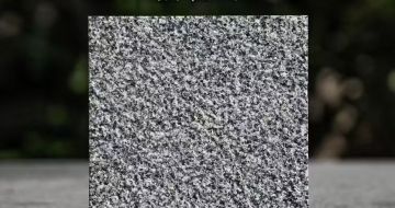 盘锦 芝麻黑荔枝面