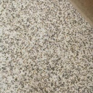 盘锦 黄金麻中黄光面