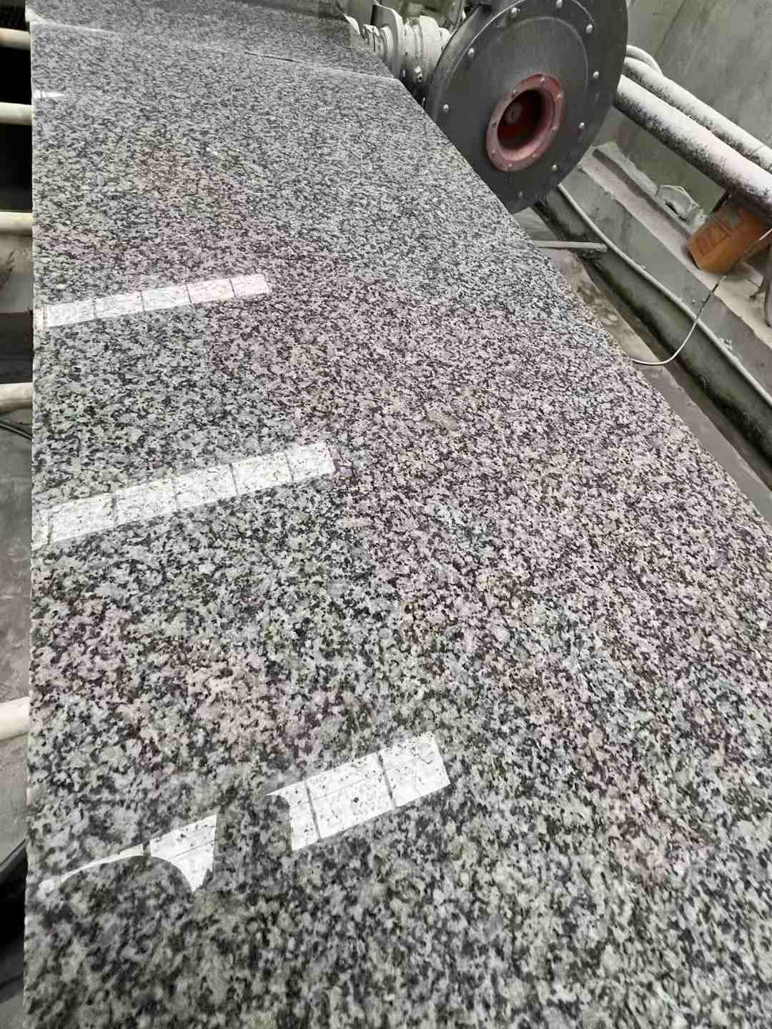 盘锦 芙蓉白光面