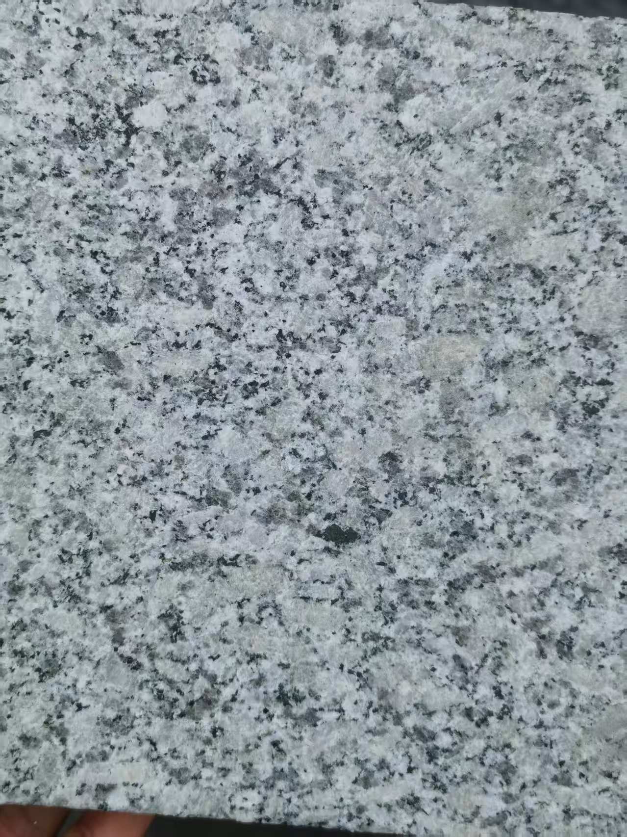 盘锦 芙蓉白火烧面