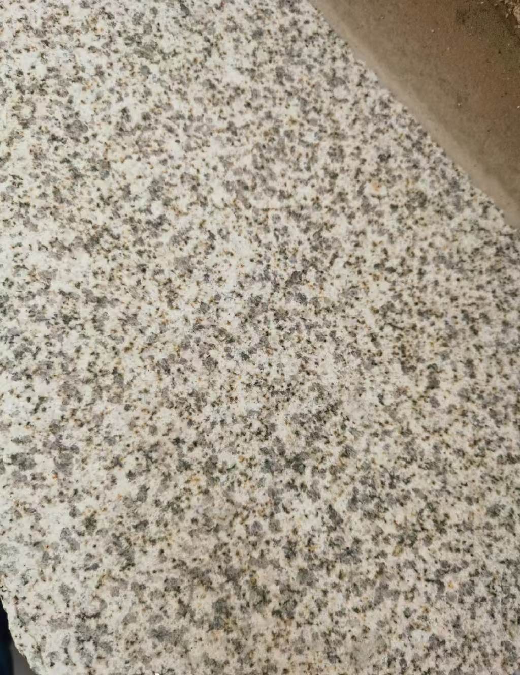 盘锦 黄金麻中黄光面